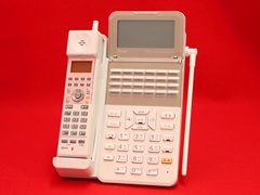 ZX2-(24)CCLIPTEL-(1)(W)